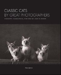 Classic Cats by Great Photographers