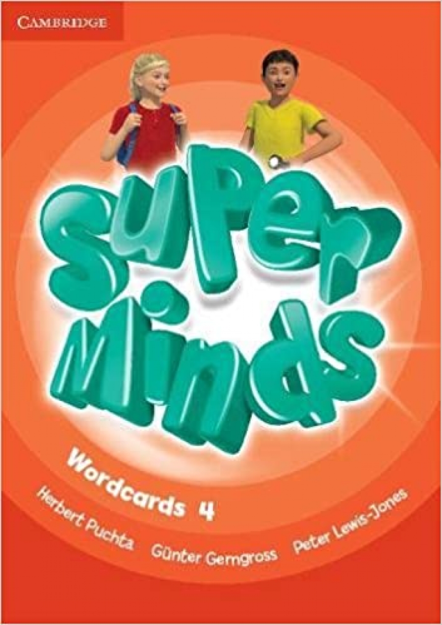 Super Minds Level 4 Wordcards 