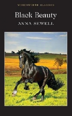 Sewell Anna Black beauty 