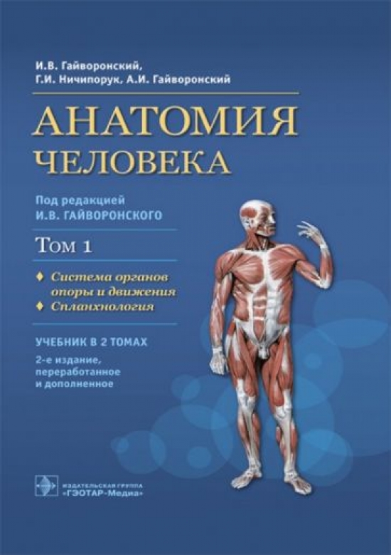 Анатомия книга для студентов. Гайворонский Ничипорук анатомия человека том 2. Анатомия учебник Ничипорук. Гайворонский анатомия учебник. Анатомия и физиология человека Гайворонский.