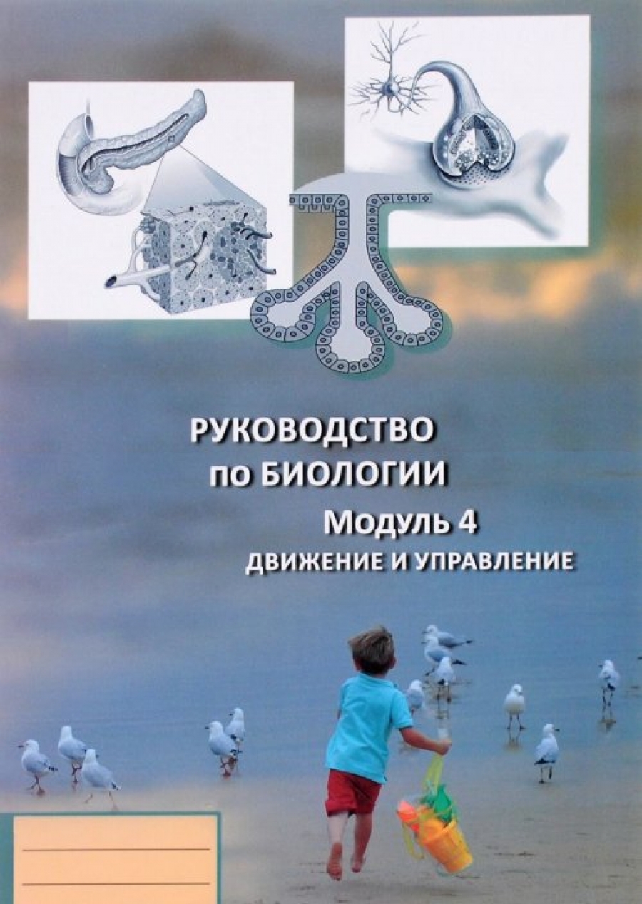 Руководство по биологии. Модуль 4. Движение и управление - Чудинова Е.В.,  Зайцева В.Е., Купить c быстрой доставкой или самовывозом, ISBN  978-5-906778-60-4 - КомБук (Combook.RU)