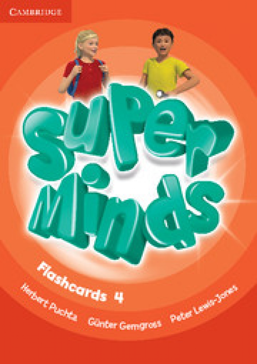 Super Minds Level 4 Flshcards 