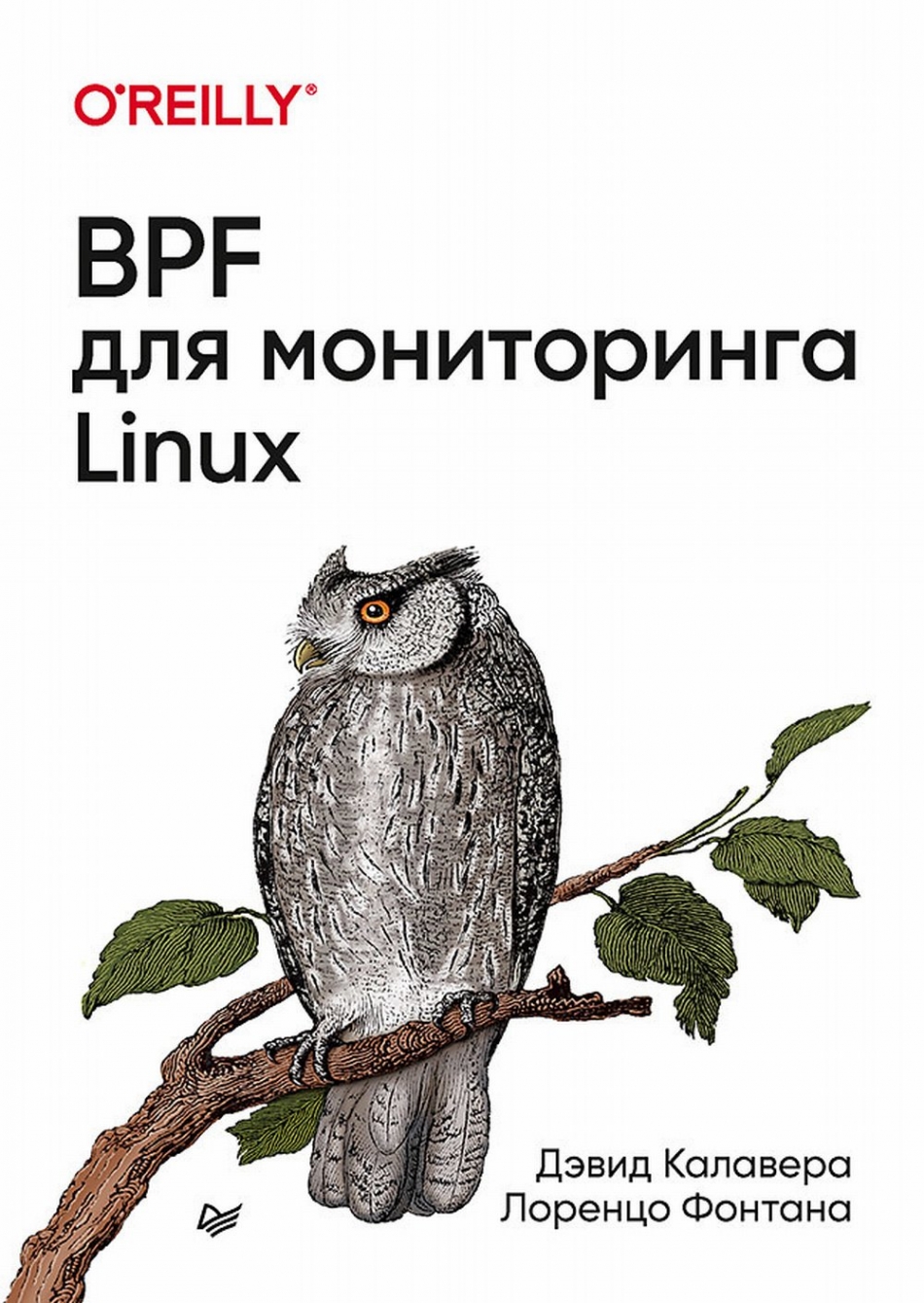  .,  . BPF   Linux 