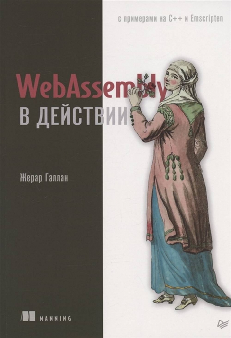   WebAssembly   
