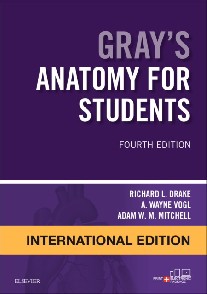, Mitchell, Drake, Vogl Gray's Anatomy for Students International 4 Edition 