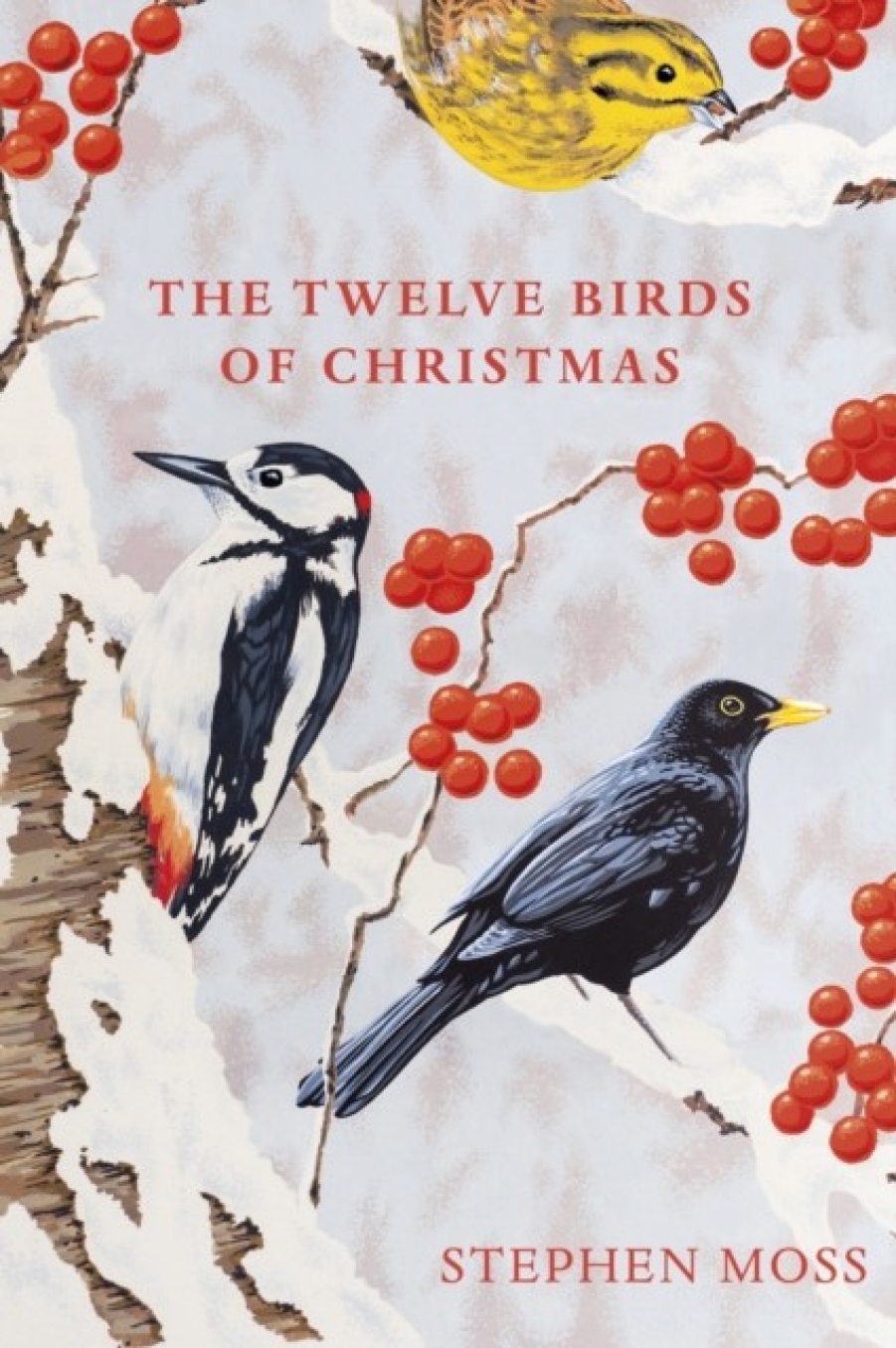 Moss Stephen Twelve Birds of Christmas 