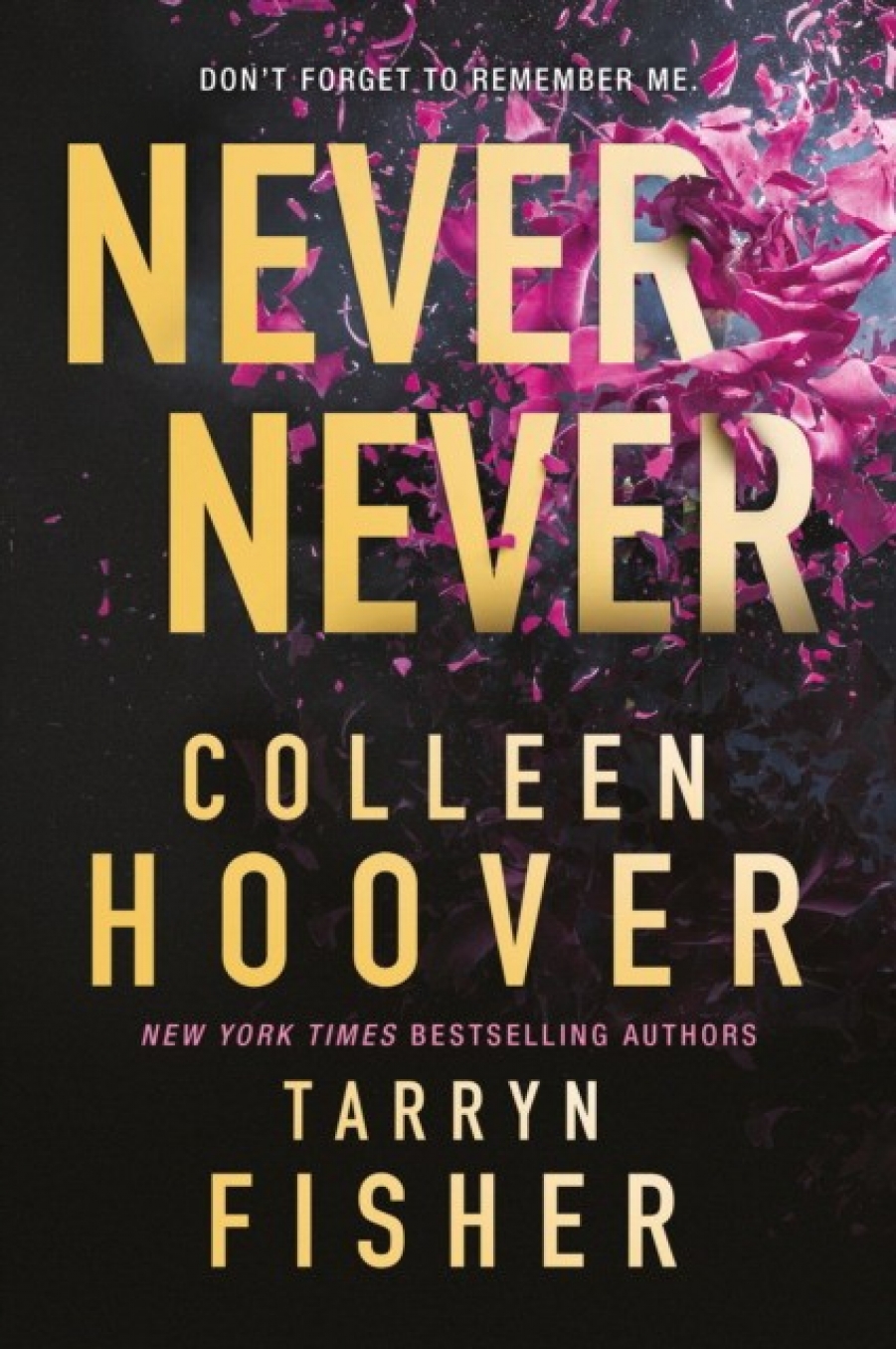 Colleen Hoover Never never 