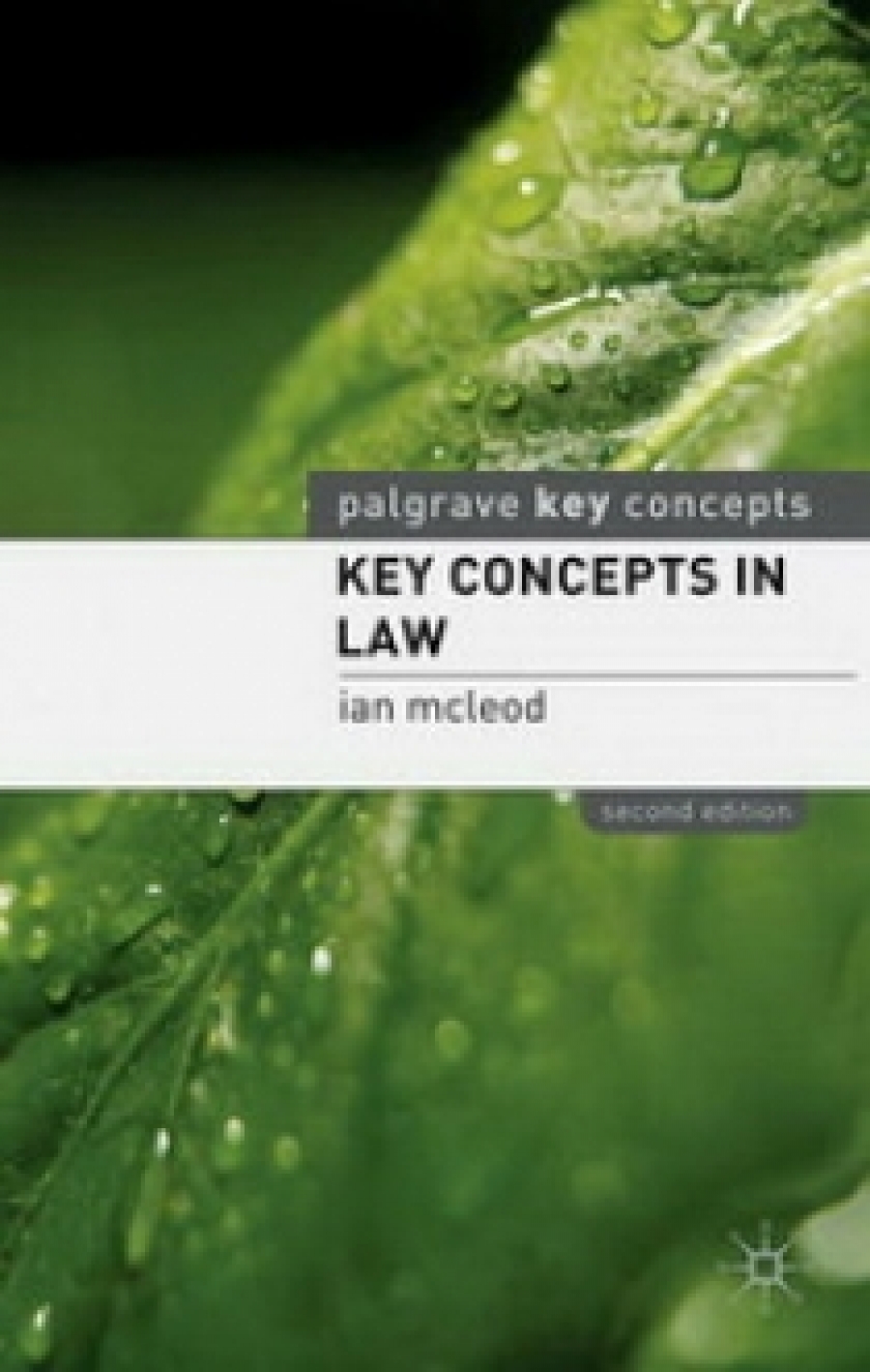 Ian M. Key Concepts in Law 