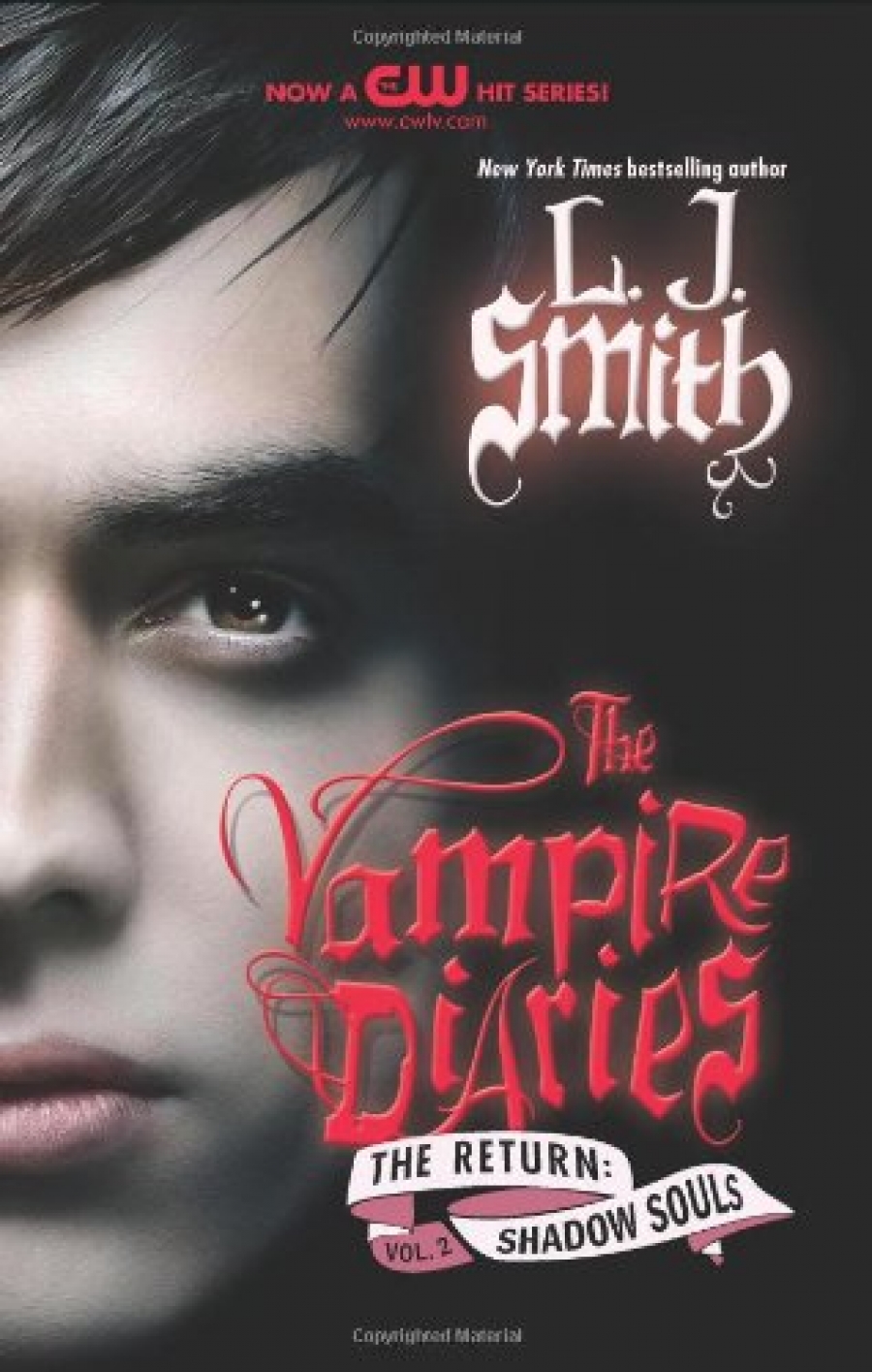 Smith, L. J. Vampire Diaries: The Return: Shadow Souls, The ( : :  ) 