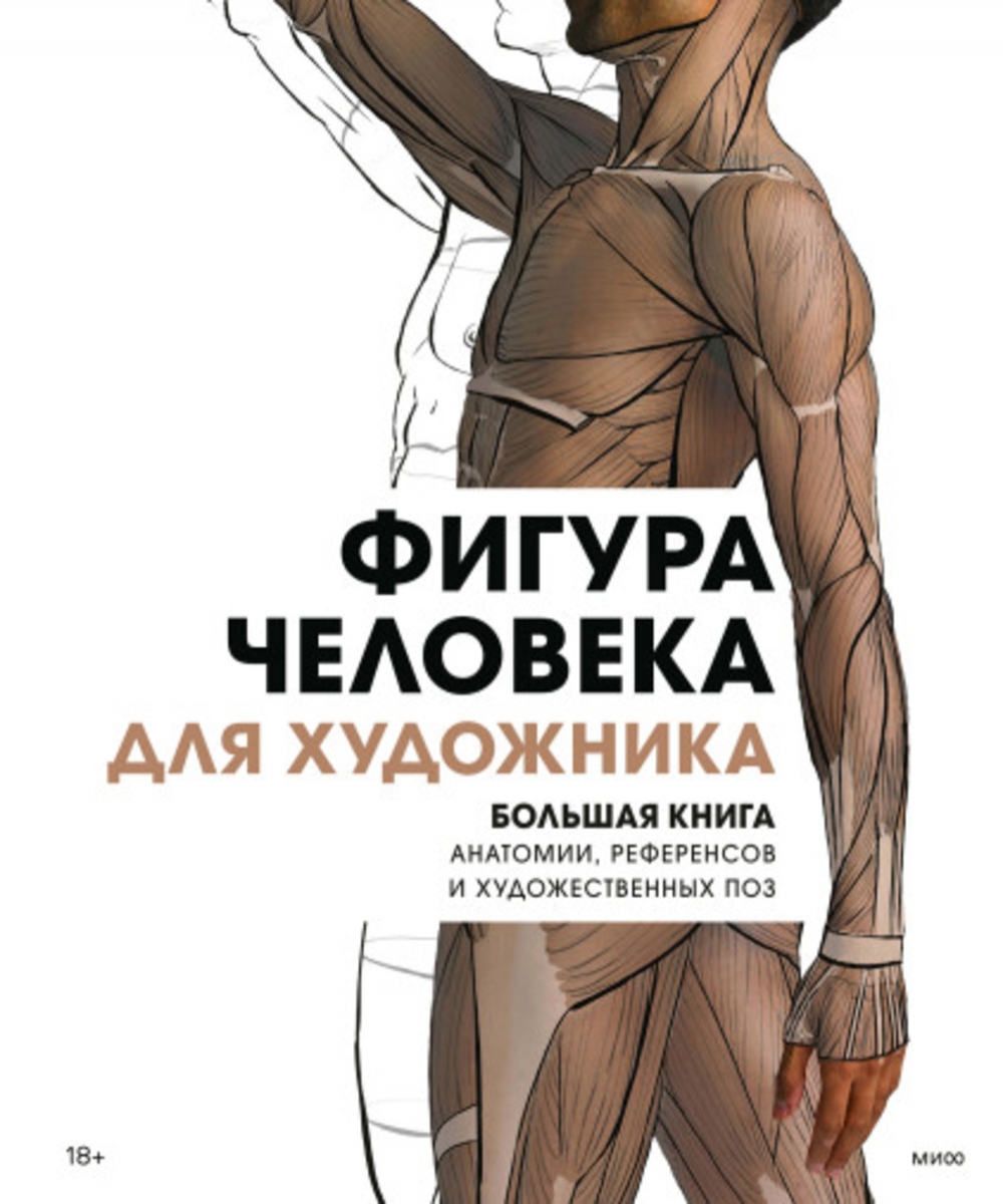 Фигура человека для художника. Большая книга анатомии, референсов и  художественных поз - Змеева Юлия, Купить c быстрой доставкой или  самовывозом, ISBN 978-5-00195-551-1 - КомБук (Combook.RU)