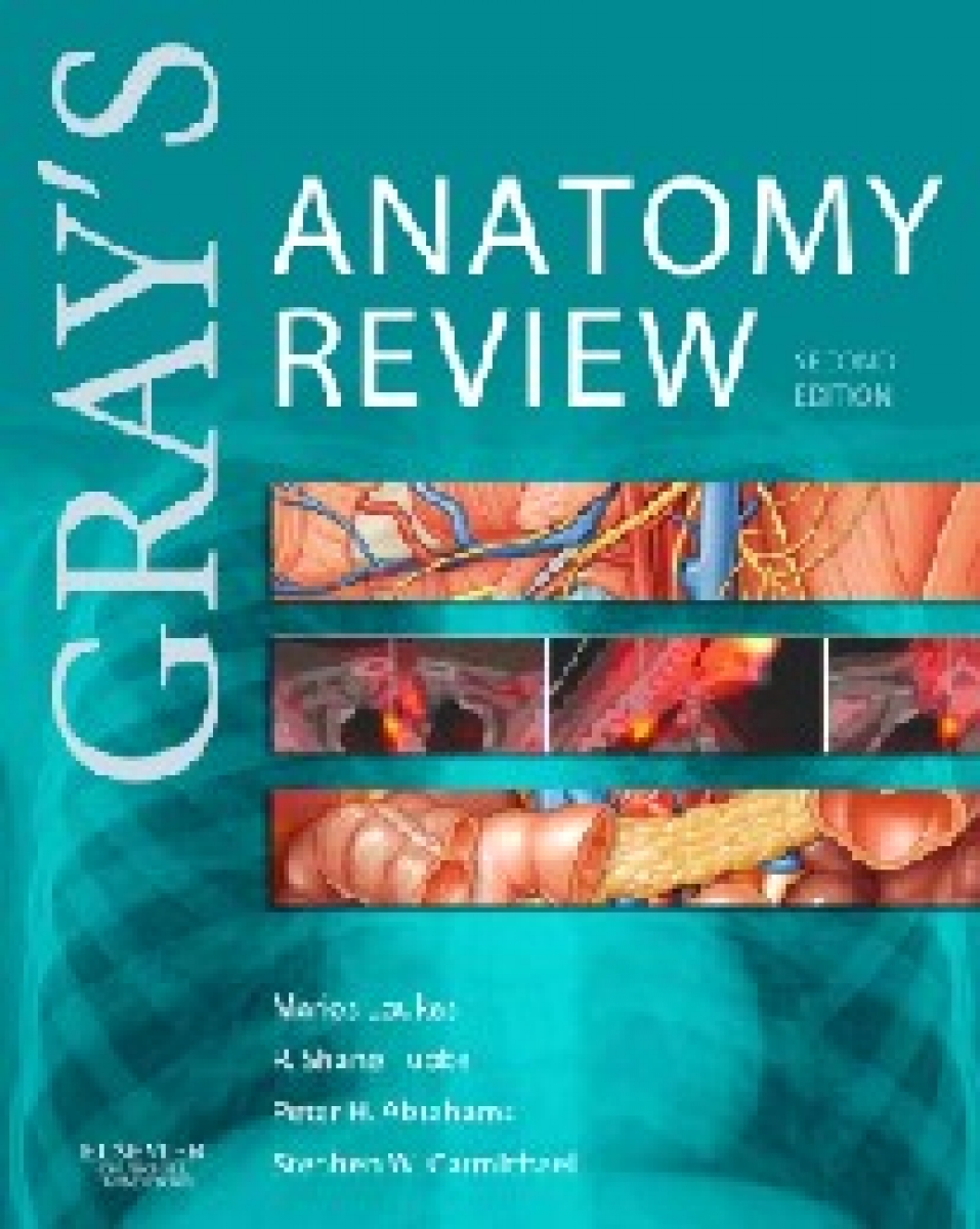 Loukas Marios Gray's Anatomy Review 