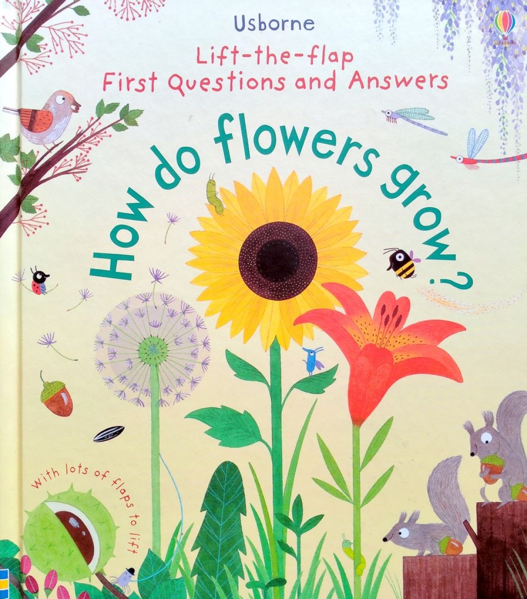 Daynes Katie Lift-The-Flap First Questions and Answers How Do Flowers Gro 