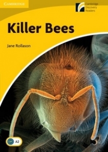 Jane Rollason Killer Bees 