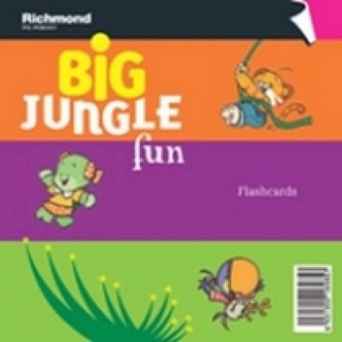 Jane, Blair, Alison; Cadwallader Big Jungle Fun 1. Flashcards 