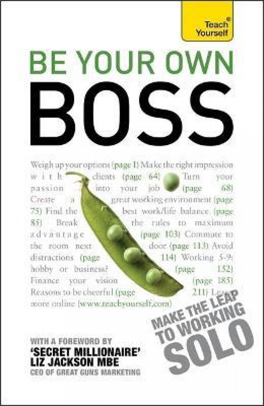 Matt, Avery Teach Yourself be Your Own Boss: When You Quit Your Job or it Quits You 