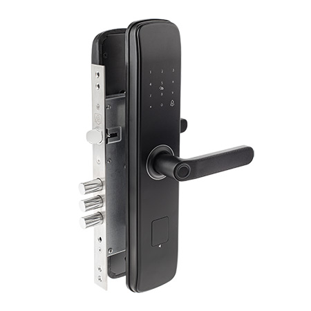   Apecs Smart SL-52-60.85/8001-BLM (TTLock, WiFi, FP) 